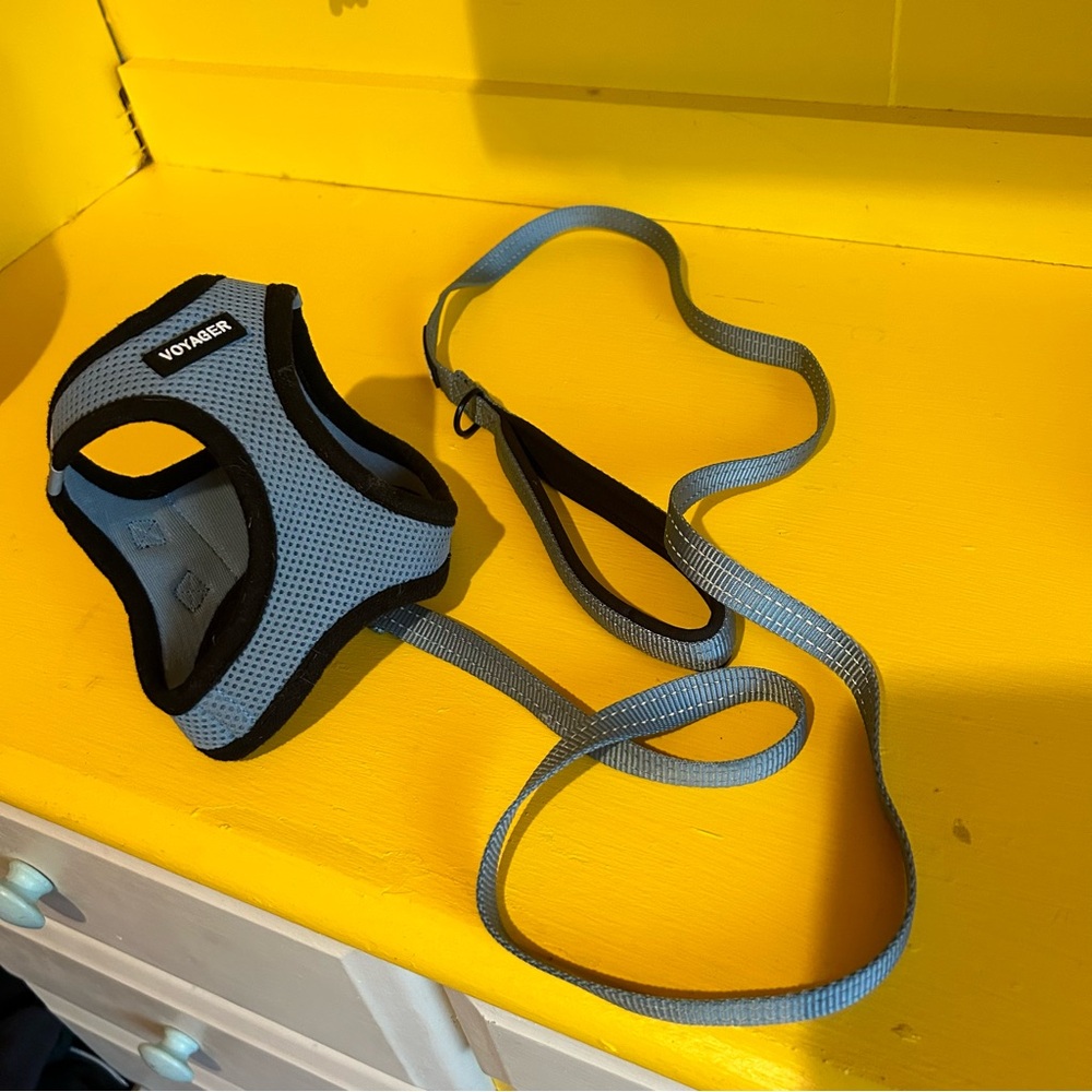DOG HARNESS AND LEASH SET